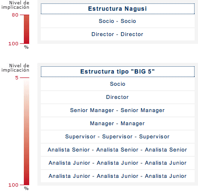 Estructura organizativa de nagusi respecto a las big five